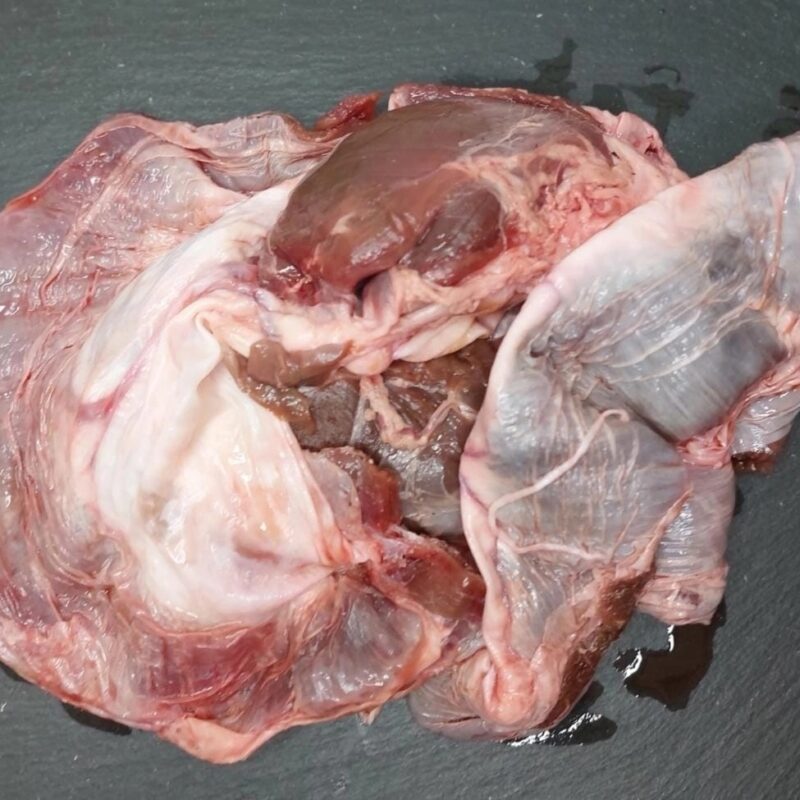 Диафрагма оленя