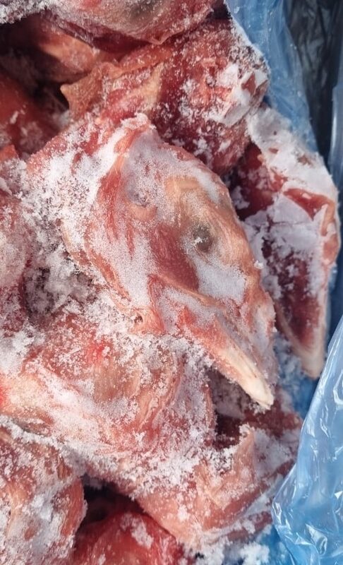 Головы индейки