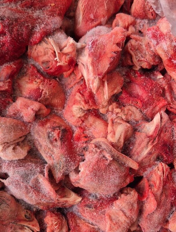 Головы цыплят-корнишонов