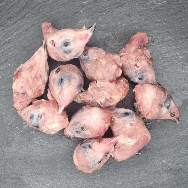 Головы перепелки