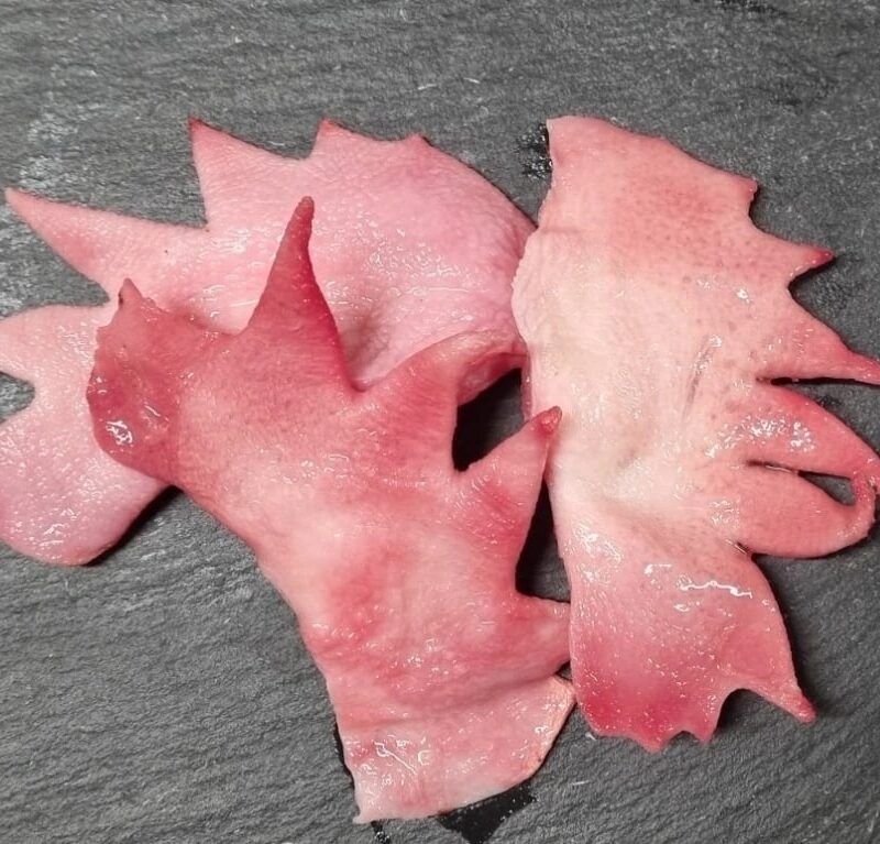 Гребешки кур