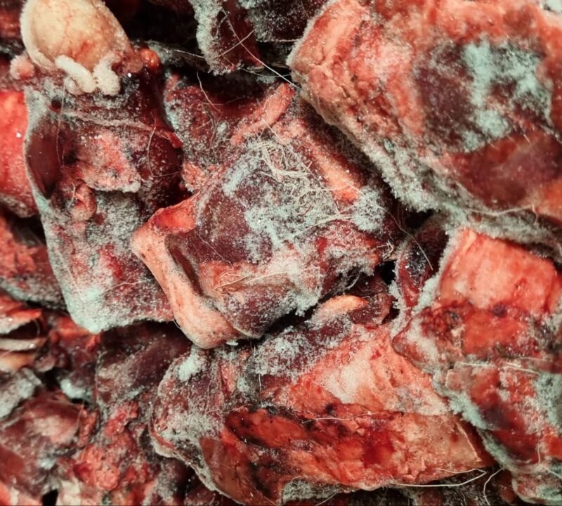 Калтык оленя