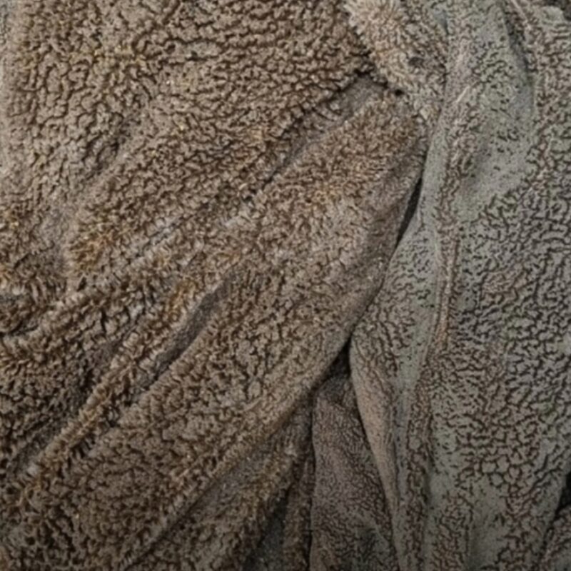 Рубец оленя