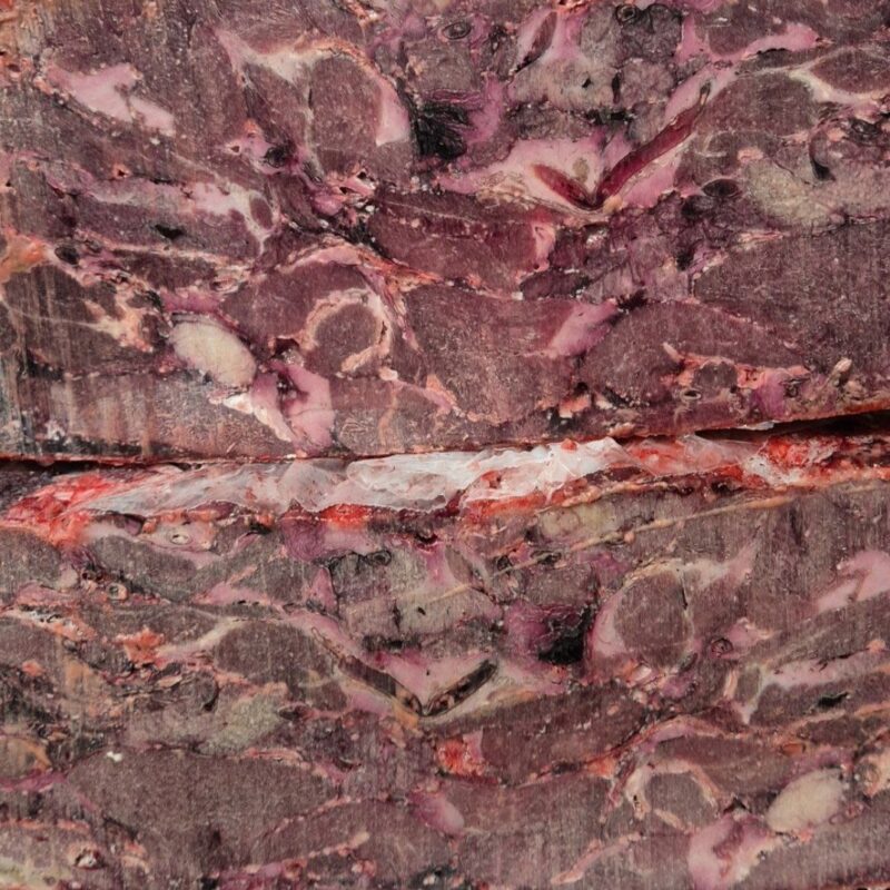 Обрезь оленя