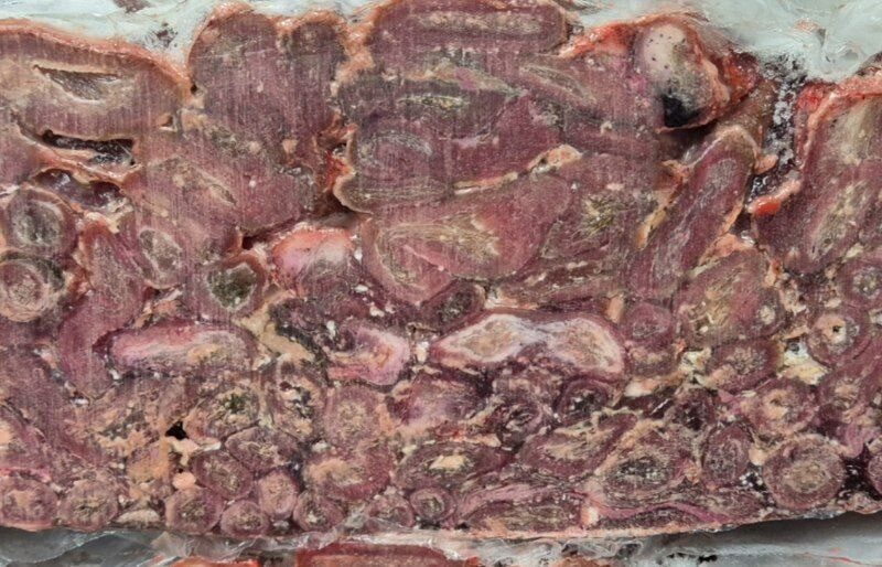 Мясо пищевода оленя